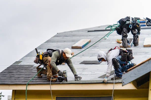 Professional Roof Inspection technician working in Winthrop, IA